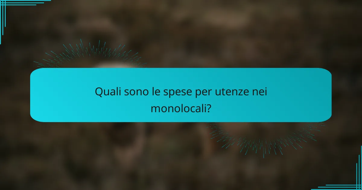 Quali sono le spese per utenze nei monolocali?